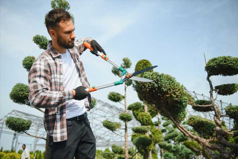 how-much-do-landscapers-make-u-s-2026-salary-guide-by-state-experience