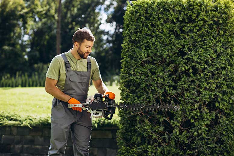 How To Start A Landscaping Business