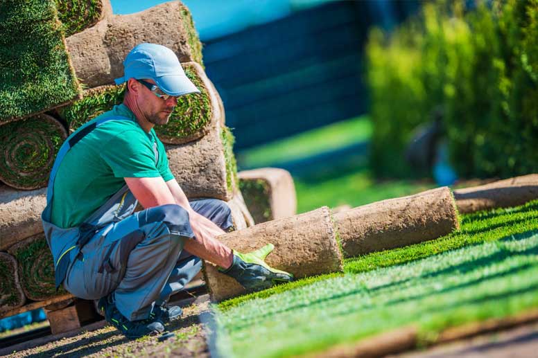 How To Start A Landscaping Business