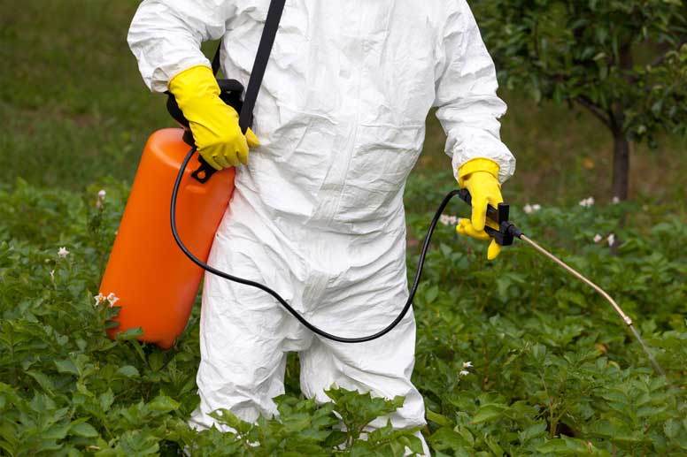 How Much Does Pest Control Cost?