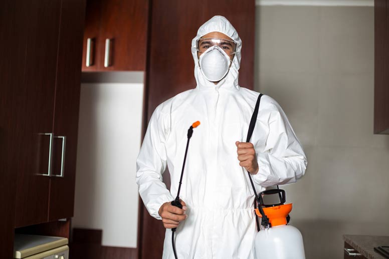 How To Get Your Pest Control Insurance?