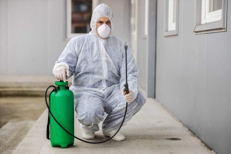 How to Get a Pest Control License in the U.S. by State