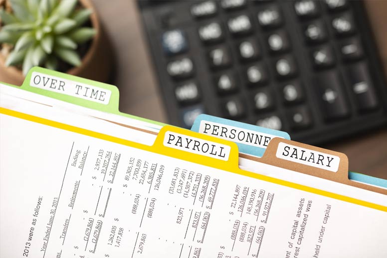 What is a Pay Stub?