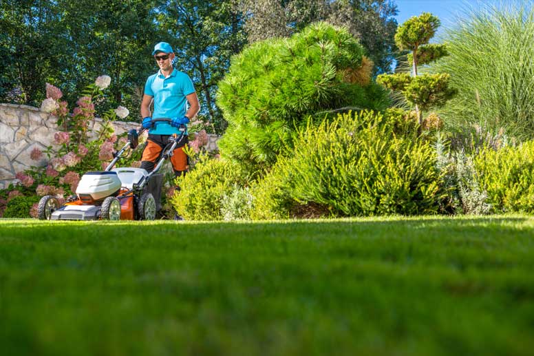 What Is The Average Salary For A Lawn Care Technician?