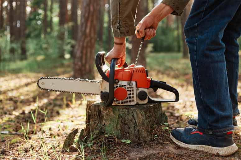 How To Become A Licensed Arborist