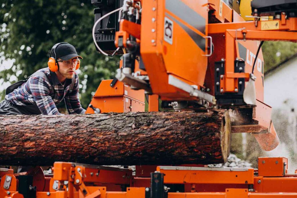 How To Become A Licensed Arborist