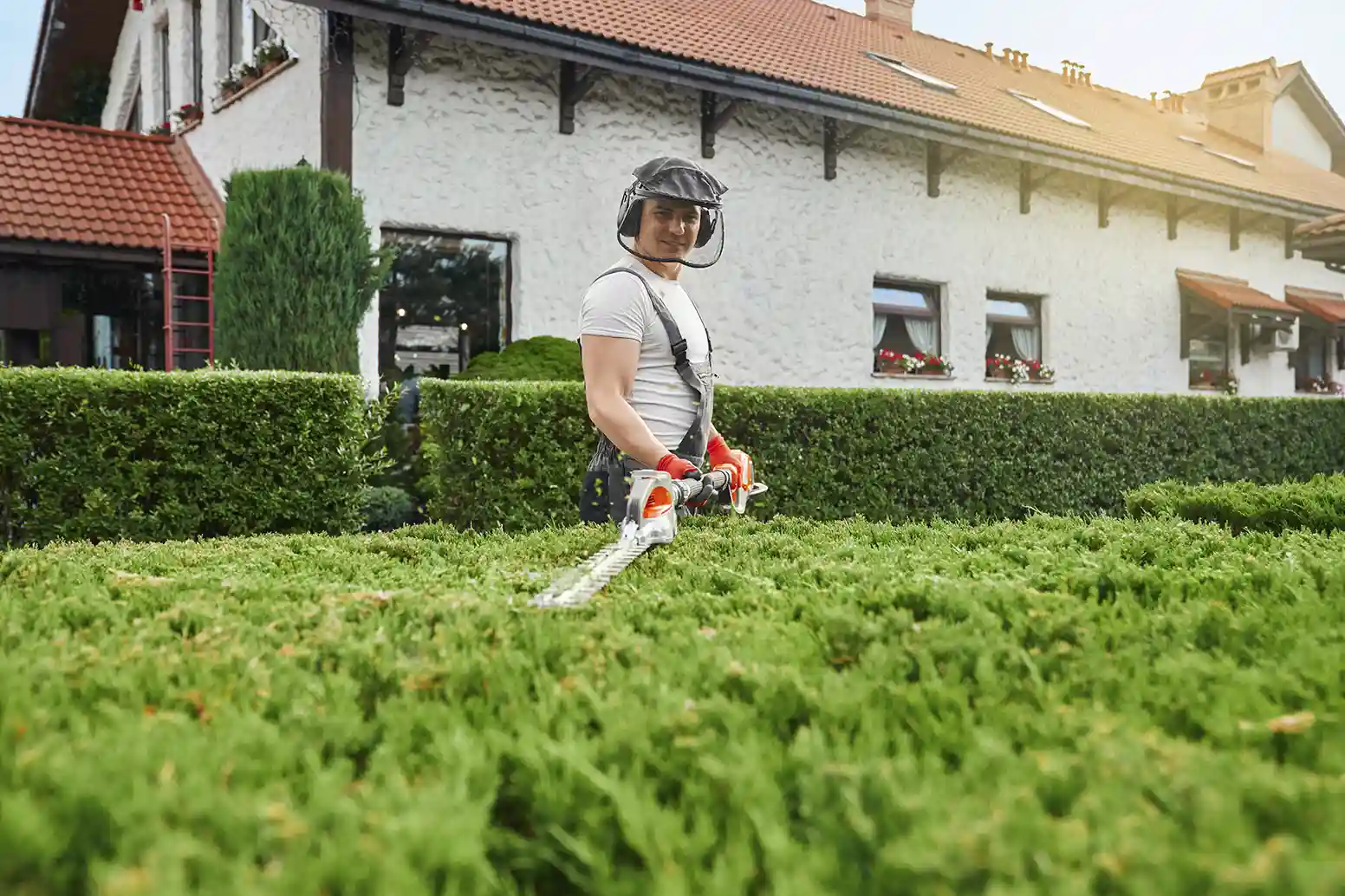 Landscaping Services What You Need to Know