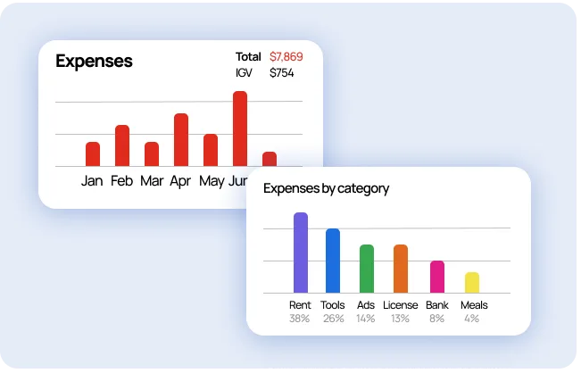 business reports - expense by category