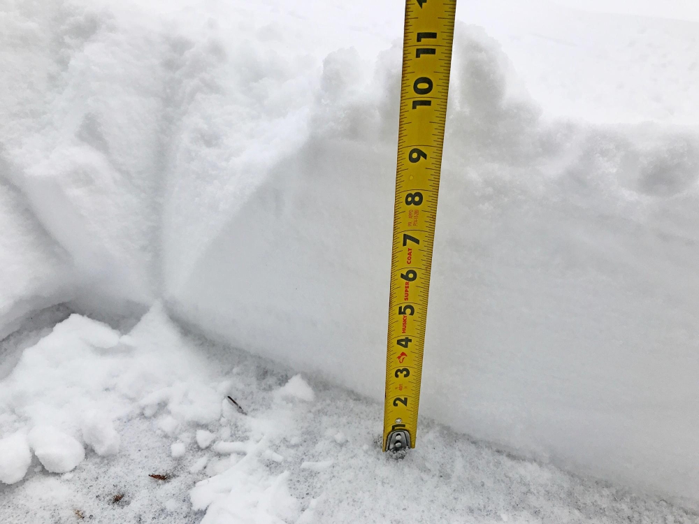 Tape measure showing snow depth in inches, used to calculate removal costs by snowfall amount.