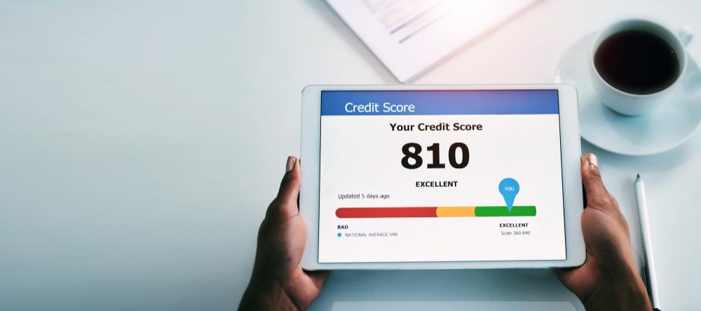 business credit score dashboard