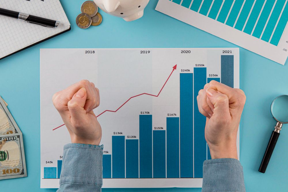 profit margin chart