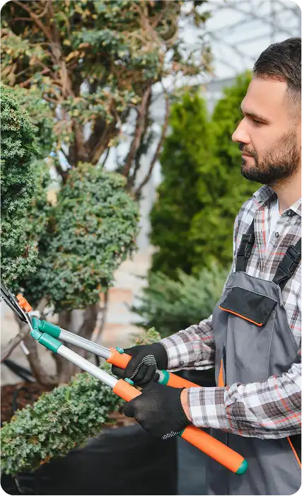 Landscaping Invoicing Software