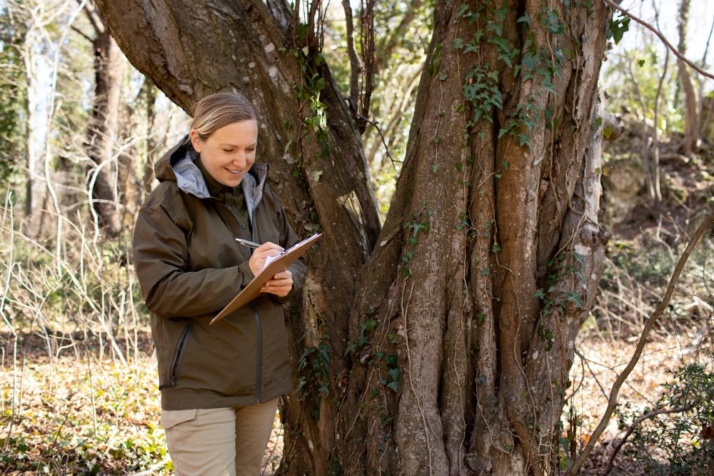 Tree service crew member reviewing insurance documents on a job site