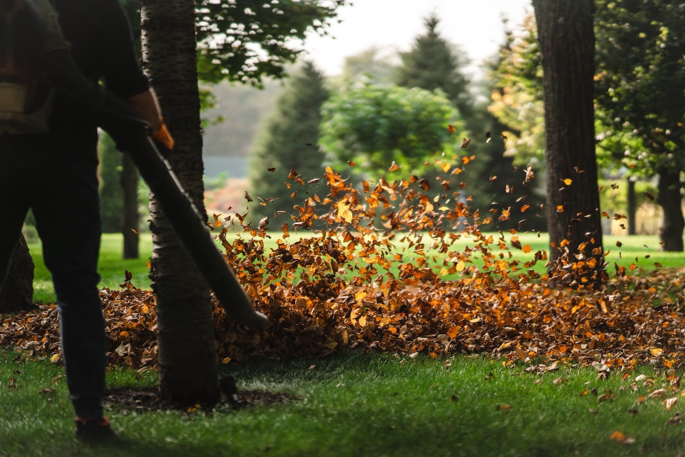 Autumn yard cleanup lawn care services