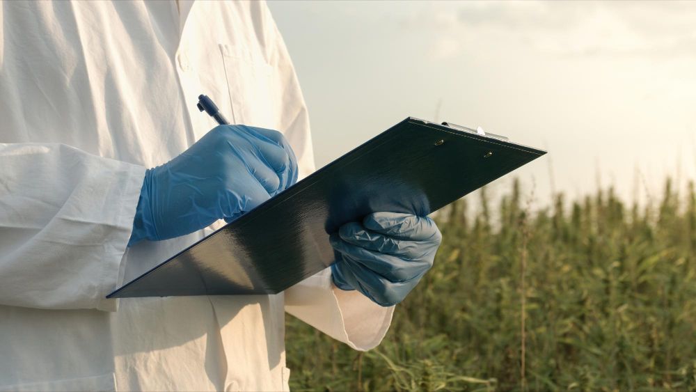 pest control contractor preparing bid for government pest control contract
