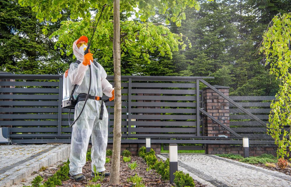 Technician performing exterior pest inspection and treatment around property