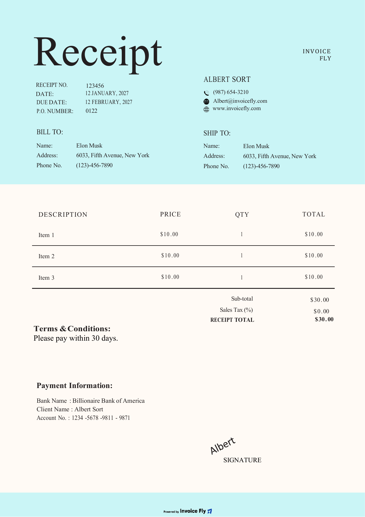 Minimal Sky Blue Receipt Template example