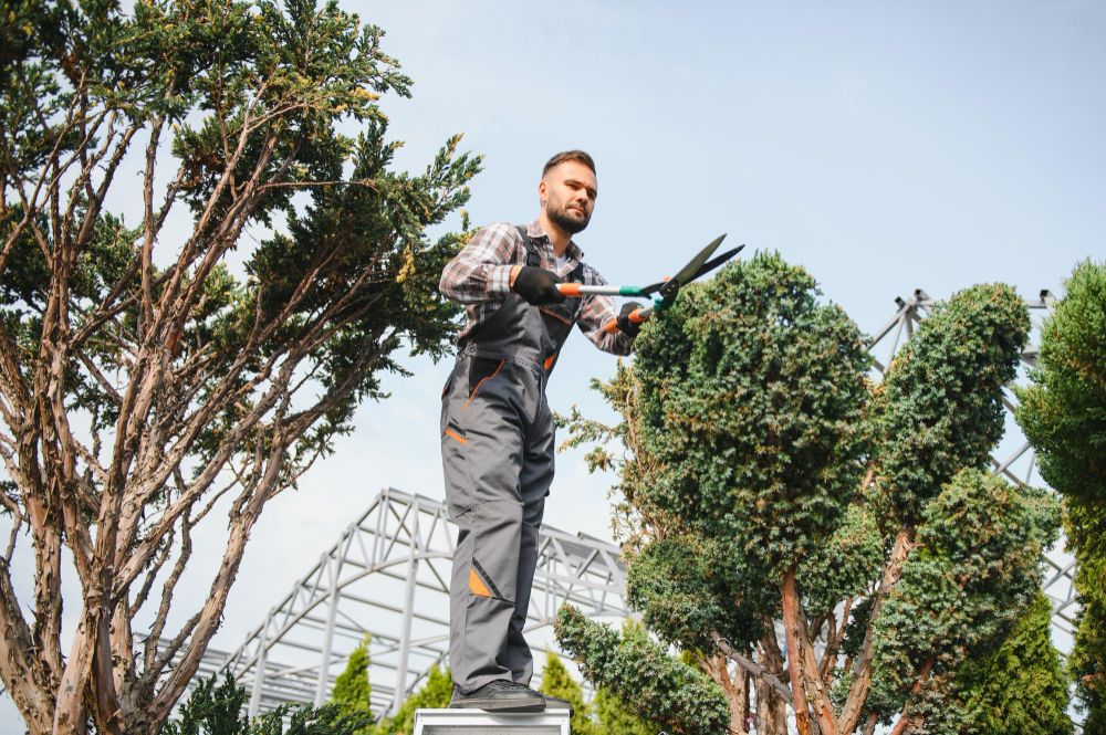 Professional landscaper trimming shrubs and maintaining commercial property