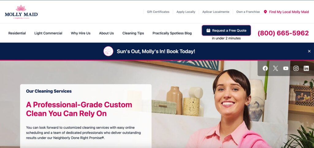 molly maid homepage example website