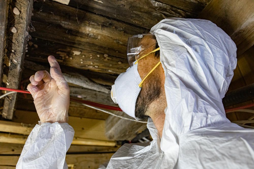 Pest control professional inspecting a property