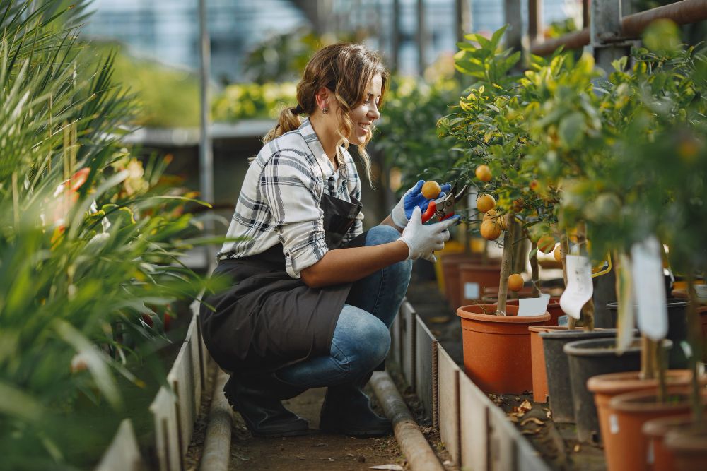 how to become landscaper practicing lawn care skills