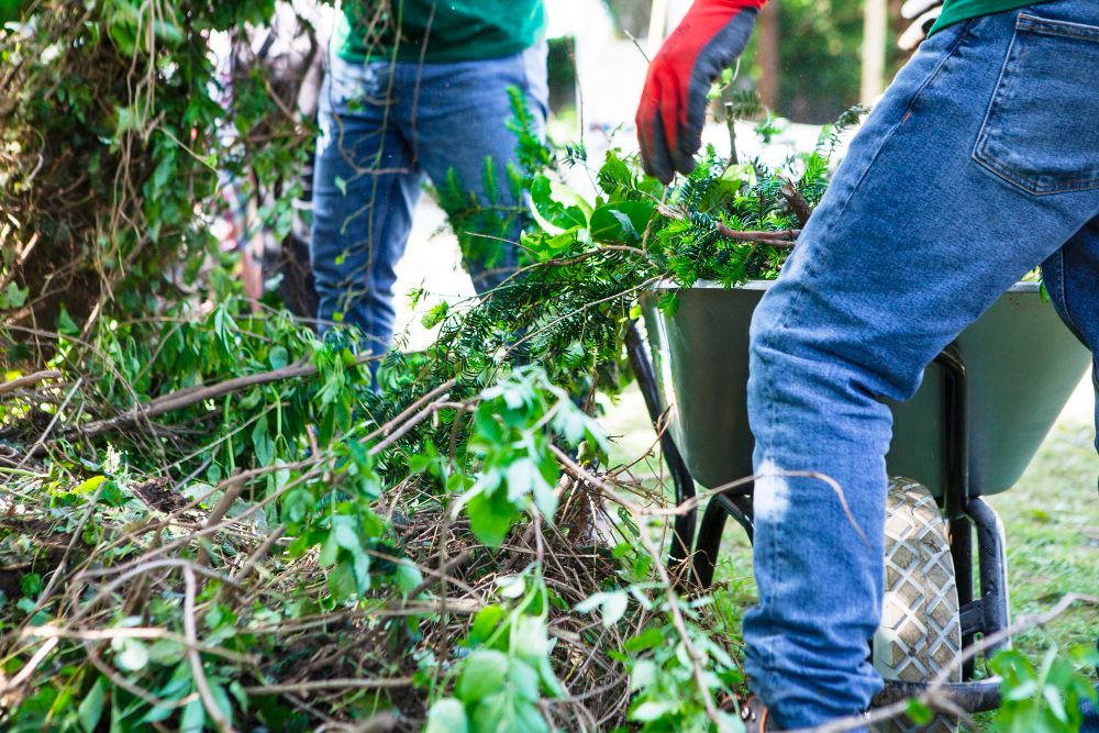 Landscaper maintaining a garden bed