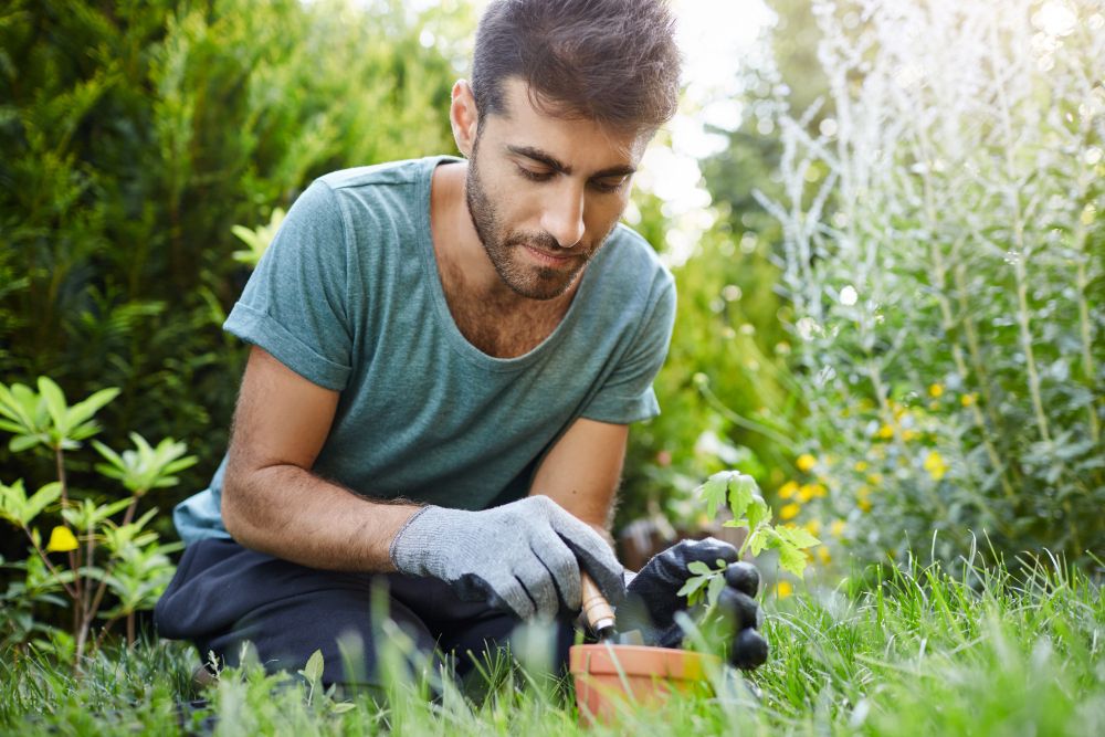 how to become landscaper by learning plant and garden care