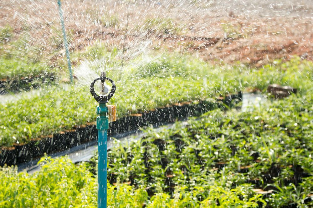 landscaping technician installing irrigation system for plants