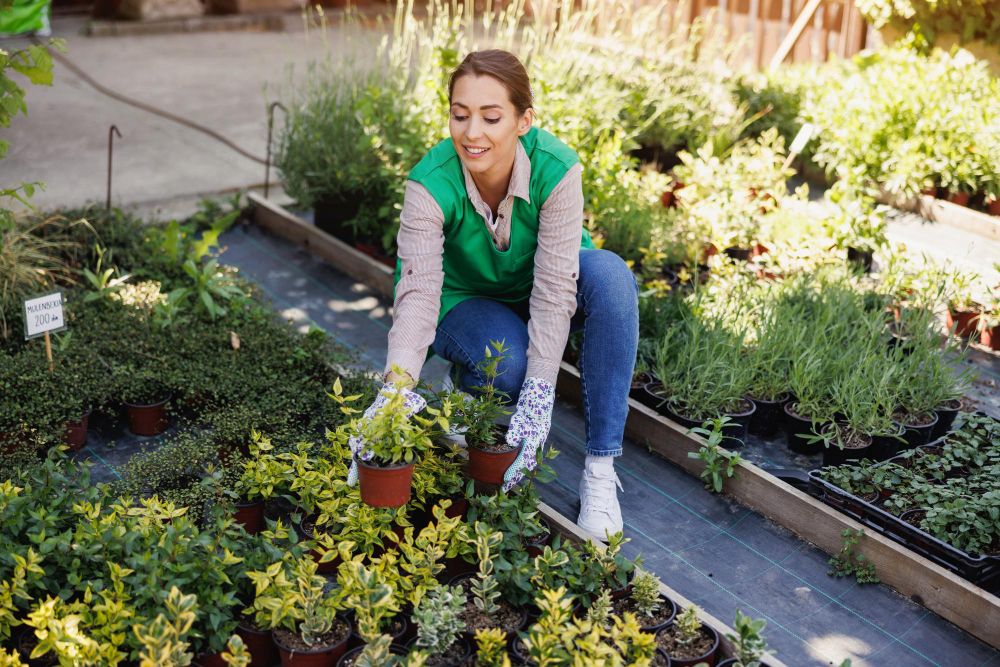 landscaping technician planting flowers in garden bed
