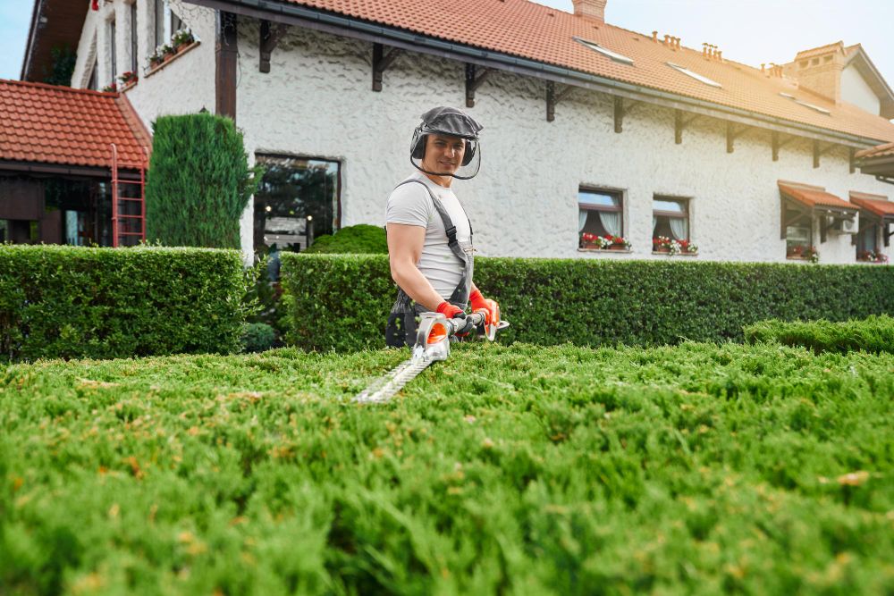 Lawn care worker pruning shrubs in a garden