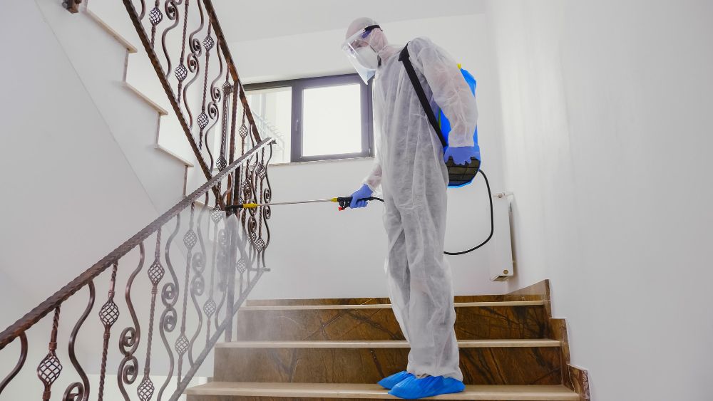Pest control technician spraying an outdoor area
