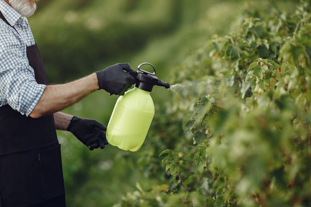 lawn technician calibrating sprayer