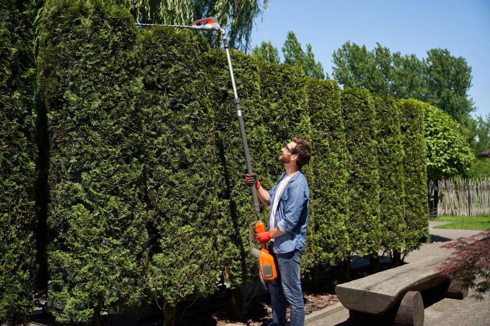 man using a telescopic pole trimmer to trim a tall hedge