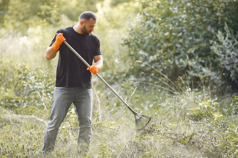 Lawn care worker collecting leaves during seasonal cleanup