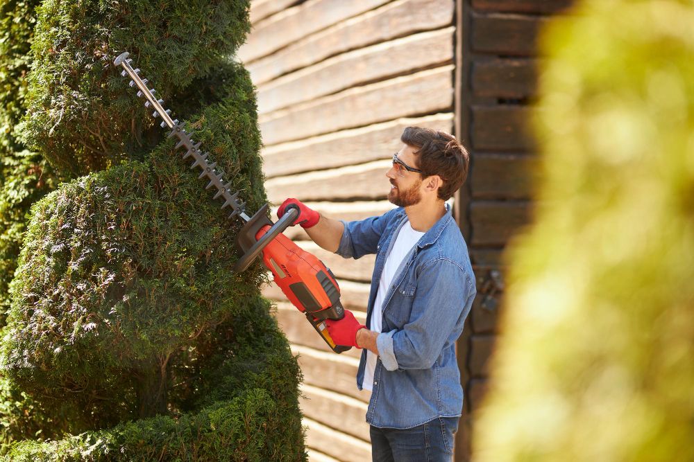 Tree care professional trimming a tree with a hedge trimmer